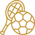 icon-sports